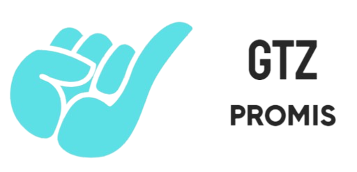 Logo GTZ PROMIS