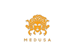Logo Medusa Data - Solusi Kreatif untuk Analisis Data