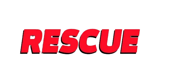 Logo Rescue Indonesia